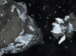 ¡Descubrimiento Asombroso! La Muestra del Asteroide OSIRIS-REx de la NASA Revela que Bennu Podría Provenir de un Mundo Oceánico